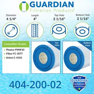 Guardian Filtration Products 2 Pack Filter FITS C-4310,C4310,FC-3077,FC3077,PWW10 Pool/SPA Cartridge Made in The USA Pool and SPA Filter Great Deal
