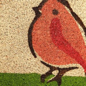 DII Natural Coir Doormat Outdoor Welcome Mat, 17x29, for The Birds