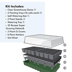 Burpee XL Self-Watering Growing System Indoor Seed Starting 10" W x 20" L x 5" H, 1 Kit (32 Cells)