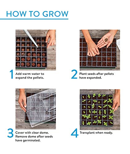 Burpee XL Self-Watering Growing System Indoor Seed Starting 10" W x 20" L x 5" H, 1 Kit (32 Cells)