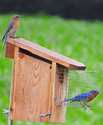 Flowing River Farm- Bird House Wire Entrance Predator Guard