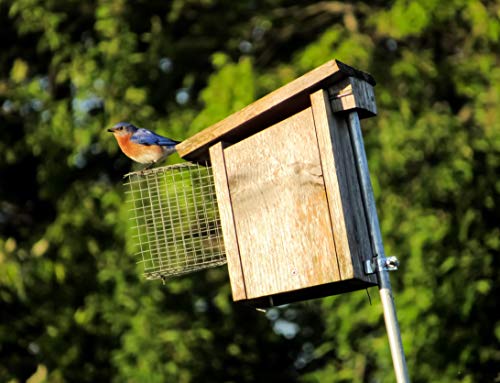 Flowing River Farm- Bird House Wire Entrance Predator Guard