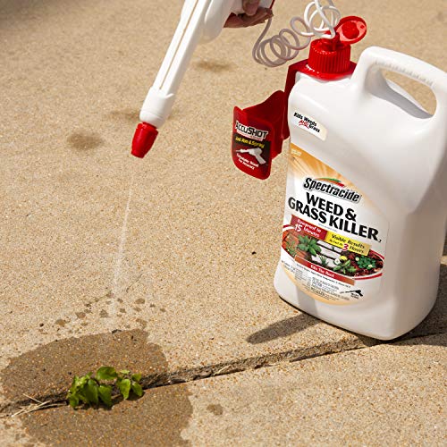 Spectracide Weed and Grass Killer, Pack of 1