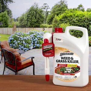 Spectracide Weed and Grass Killer, Pack of 1