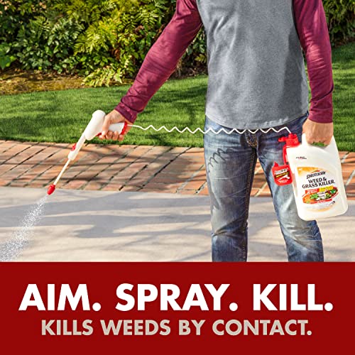 Spectracide Weed and Grass Killer, Pack of 1