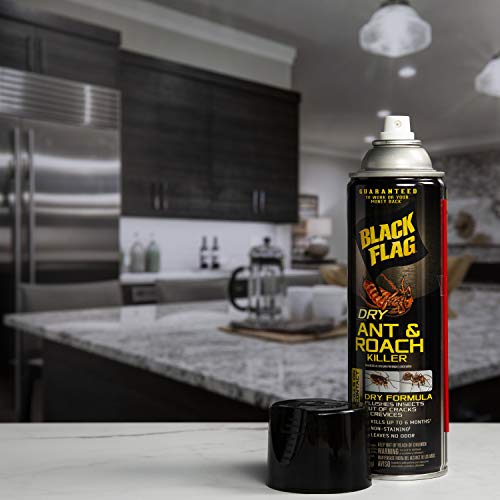 Black Flag Dry Ant And Roach Killer 9 Ounces, Aerosol Spray, Dry Formula, Plain, 1-Count