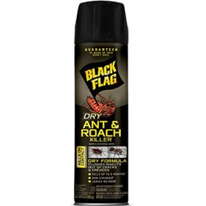 black flag dry ant and roach killer 9 ounces, aerosol spray, dry formula, plain, 1-count