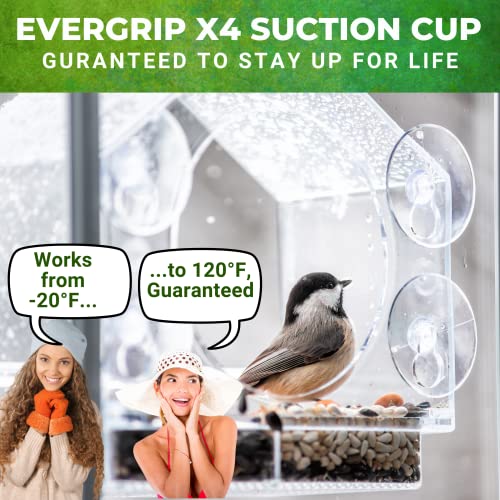 Nature Anywhere Premium Clear Plastic Window Bird Feeder for Outside - Window Bird Feeders with Strong Suction Cups - Transparent Bird Feeder Window Mount Acrylic Bird House for Cat Window Perch