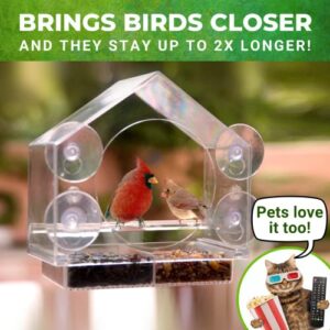 Nature Anywhere Premium Clear Plastic Window Bird Feeder for Outside - Window Bird Feeders with Strong Suction Cups - Transparent Bird Feeder Window Mount Acrylic Bird House for Cat Window Perch