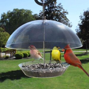 heath outdoor products 21517 adjustable dome helps larger birds the observatory dome feeder