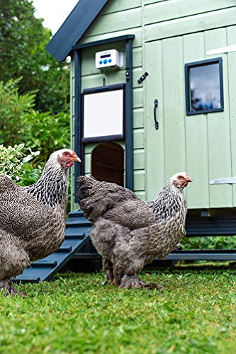 ChickenGuard Automatic Chicken Coop Door Openers, 3 Models, Timer/Light Sensor, Lift up to 4kg Pop Hole Door, Batteries (Premium)