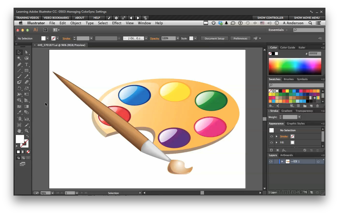 Learning Adobe Illustrator CC [Online Code]