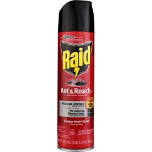 ant and roach killer, 17.5oz aerosol