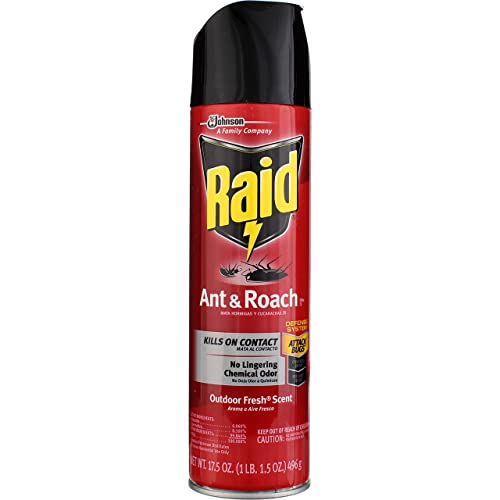 Ant and Roach Killer, 17.5oz Aerosol