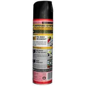 Ant and Roach Killer, 17.5oz Aerosol