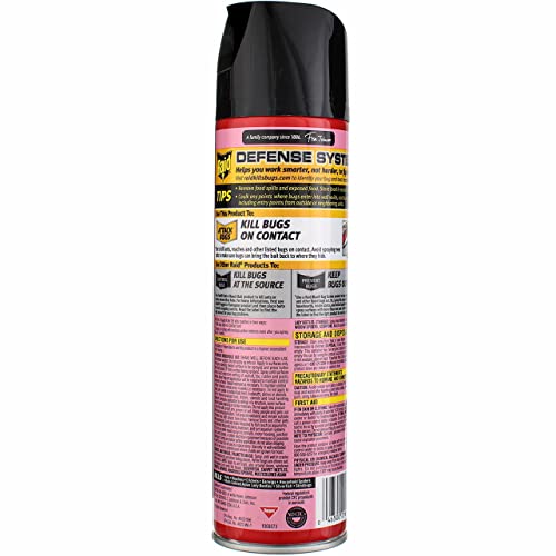 Ant and Roach Killer, 17.5oz Aerosol