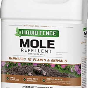 Liquid Fence Mole Repellent Concentrate, 1-Gallon, 1 gal, Plain