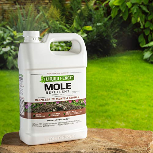 Liquid Fence Mole Repellent Concentrate, 1-Gallon, 1 gal, Plain