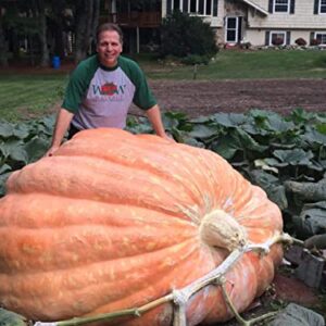 Ron Wallace's Whoppers Giant Pumpkin Seeds (5 Seeds per Package)