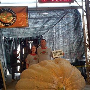 Ron Wallace's Whoppers Giant Pumpkin Seeds (5 Seeds per Package)