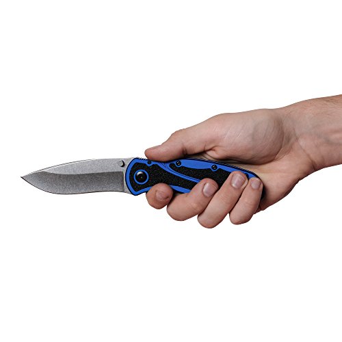 Kershaw Blur Navy Blue Pocketknife, 3.4" Sandvik 14C28N Stainless Steel Recurved Blade, Assisted Thumb-Stud Opening EDC,Black/Blue