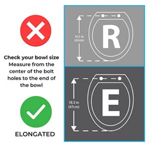 Centoco 550STSCC-001 Elongated Plastic Toilet Seat, Open Front No Cover, Stainless Steel Hinges, Regular Duty Commercial Use, White