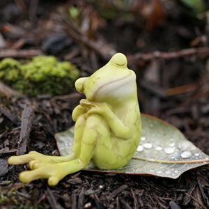 Top Collection Miniature Fairy Garden and Terrarium Statue, Frog Resting