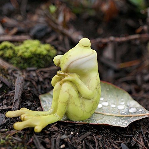 Top Collection Miniature Fairy Garden and Terrarium Statue, Frog Resting