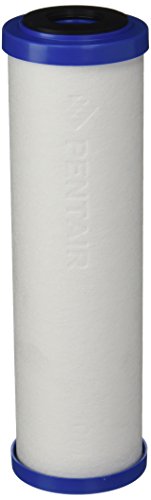 Pentair Pentek DFX-CB-10 Carbon Water Filter, 10-Inch, Under Sink Diamond Flow Dual-Purpose Replacement Filter Cartridge, 10" x 2.5", 10 Micron