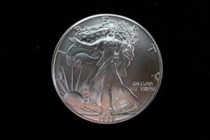 1989 american eagle 1 oz. silver dollar brilliant uncirculated