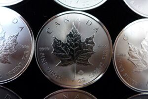 2014 canada maple leaf 1oz silver $5 uncirculated