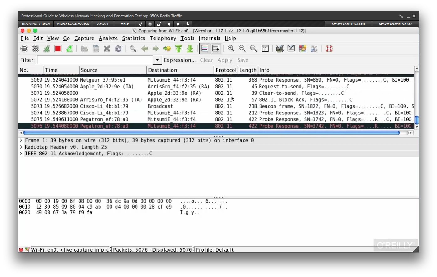 Professional Guide to Wireless Network Hacking and Penetration Testing [Online Code]