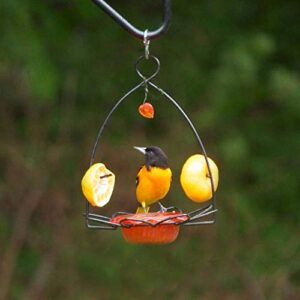 Birds Choice OFF Oriole Flower-Shaped Feeder w/Heart Ornament, Oriole Nectar & Jelly Feeder, 3oz Capacity, Orange