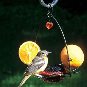 Birds Choice OFF Oriole Flower-Shaped Feeder w/Heart Ornament, Oriole Nectar & Jelly Feeder, 3oz Capacity, Orange