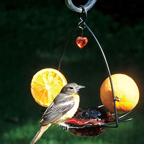 Birds Choice OFF Oriole Flower-Shaped Feeder w/Heart Ornament, Oriole Nectar & Jelly Feeder, 3oz Capacity, Orange