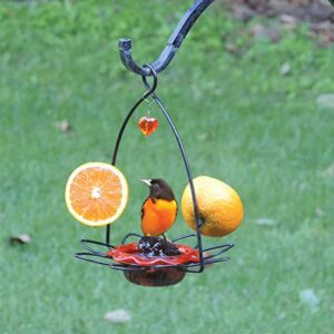 Birds Choice OFF Oriole Flower-Shaped Feeder w/Heart Ornament, Oriole Nectar & Jelly Feeder, 3oz Capacity, Orange