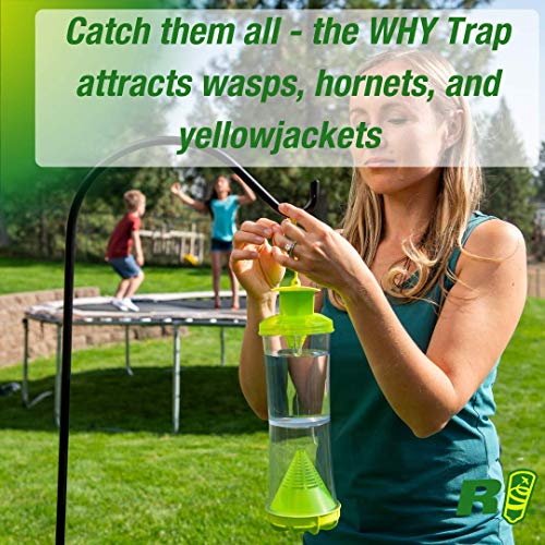 RESCUE! Non-Toxic Wasp, Hornet, Yellowjacket Trap (WHY Trap) Attractant Refill - 2 Week Refill - 8 Pack