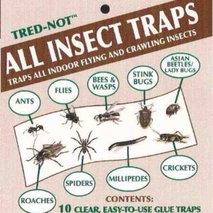 70 pk All Insect/Fly Traps/Sticky Strips/Glue Boards. Trap Flies, Bees, Wasps, Asian Beetles, etc.