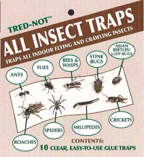 70 pk All Insect/Fly Traps/Sticky Strips/Glue Boards. Trap Flies, Bees, Wasps, Asian Beetles, etc.