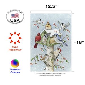 Toland Home Garden 12x18 Inch Double Sided Garden Flag Winter Flag, Winter Birds Winter Garden Flag House Flag For Outdoor Yard Decoration