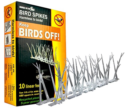 Bird-X B00VMR3SF4 SP-10-NR Plastic Narrow Bird Spikes 10 Foot Kit with Adhesive G, 2 Pack, Multi