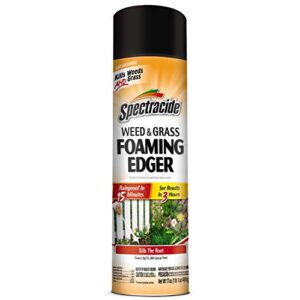 spectracide weed and grass foaming edger 17 ounces, aerosol, for edging along yards - pack of 12