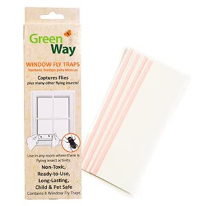 greenway window fly traps (4 traps) - sticky traps for gnats and flies - alternative to refillable glue boards