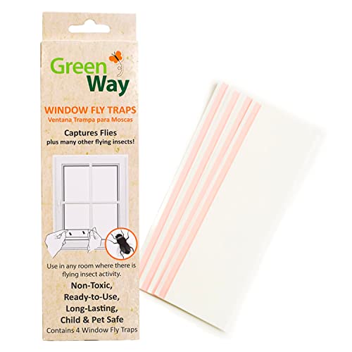 Greenway Window Fly Traps (4 Traps) - Sticky Traps for Gnats and Flies - Alternative to Refillable Glue Boards