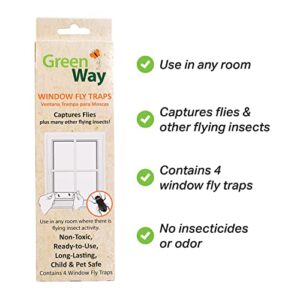 Greenway Window Fly Traps (4 Traps) - Sticky Traps for Gnats and Flies - Alternative to Refillable Glue Boards