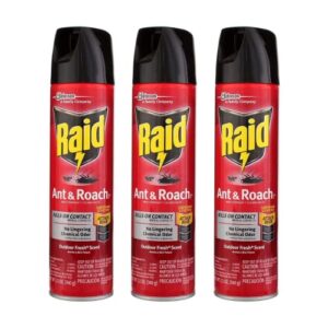 raid ant & roach killer outdoor fresh cans 12 oz. (pack of 3)
