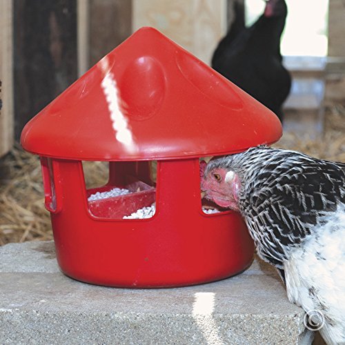 Premier Poultry Grit & Oyster Shell Feeder - 6 Lb.