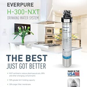 Pentair Everpure H-300-NXT Drinking Water System, EV927151, Includes Filter Head, Filter Cartridge, All Hardware and Connectors, 300 Gallon Capacity, 0.5 Micron