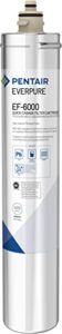 pentair everpure ef-6000 quick-change filter cartridge, ev985550, for use in everpure ef-6000 full flow drinking water system, 6,000 gallon capacity, 0.5 micron