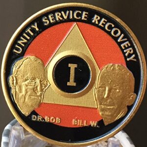 1 Year Founders AA Medallion HD Orange Black Gold Plated Bill & Bob Chip